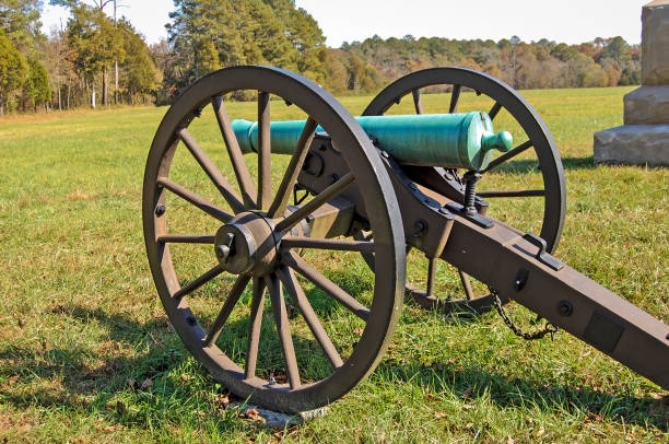 istock Cannon in the Fields of Georgia 901053904