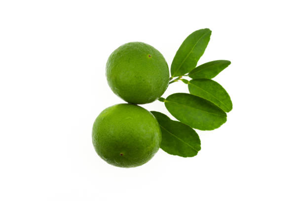 istock Lime fruits with leaves isolated on white background. 901057402