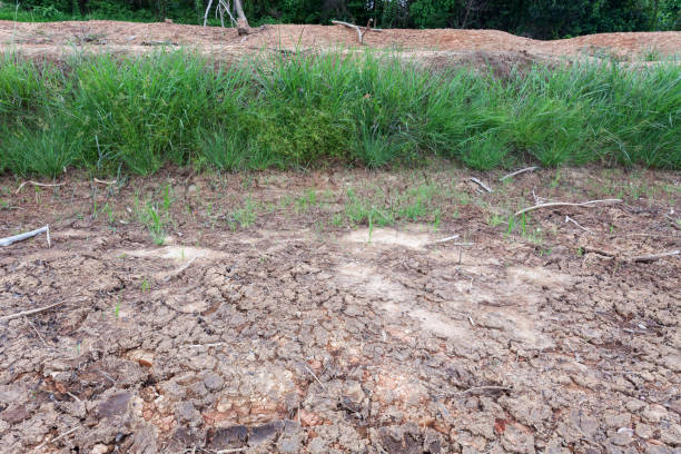 istock land and cracked earth with green grass,ecology concept. 901057460