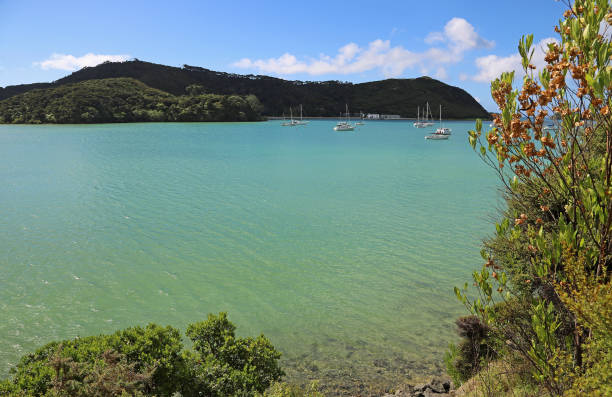istock Parekura Bay 901059868