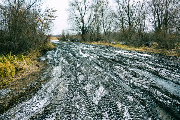 秋の森のオフロード トラック - off road vehicle 4x4 snow driving ストックフォトと画像