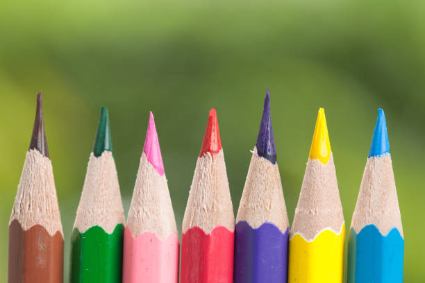 istock Color pencils isolated on nature background close up 901067752