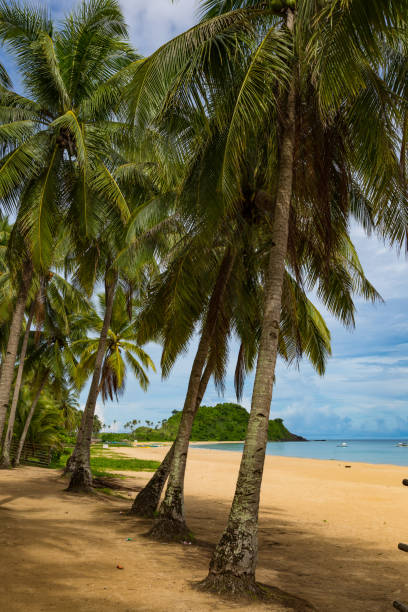 istock Nacpan Beach, El Nido, Palawan, Philippines 901068194