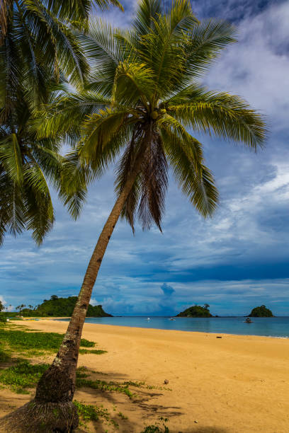 istock Nacpan Beach, El Nido, Palawan, Philippines 901068276