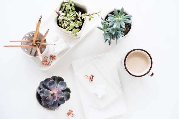 istock office desk flat lay with coffe, notepads and succulents, clean 901082156