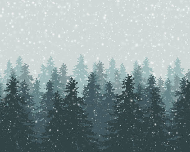 istock Vector illustration of winter forest with falling snowflakes and gray sky 901082270