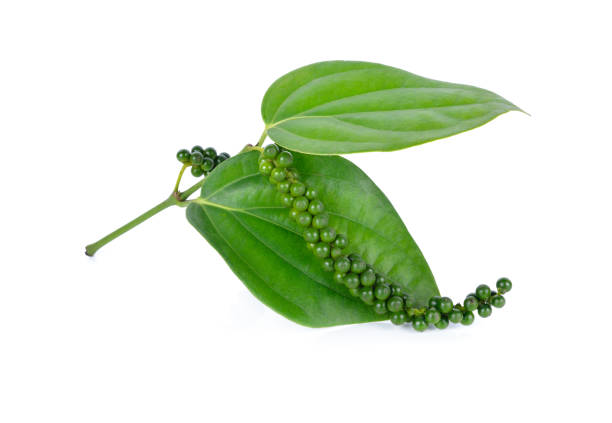 istock green peppercorns with stem and leaf on white background 901082746