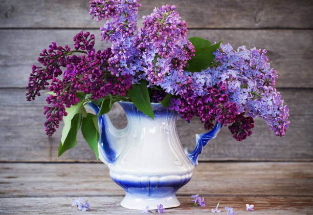 istock Still life with a blooming branch of lilac 901083530