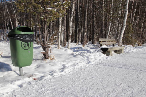 istock Park bench with a green garbage can in a birch forest 901086478
