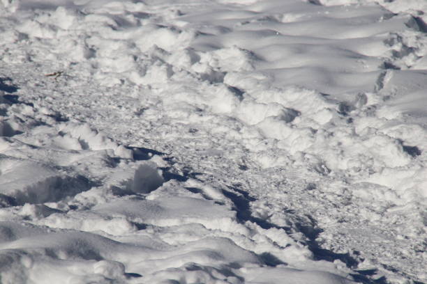 istock Footprints and Tracks in the snow of a winter path 901089000