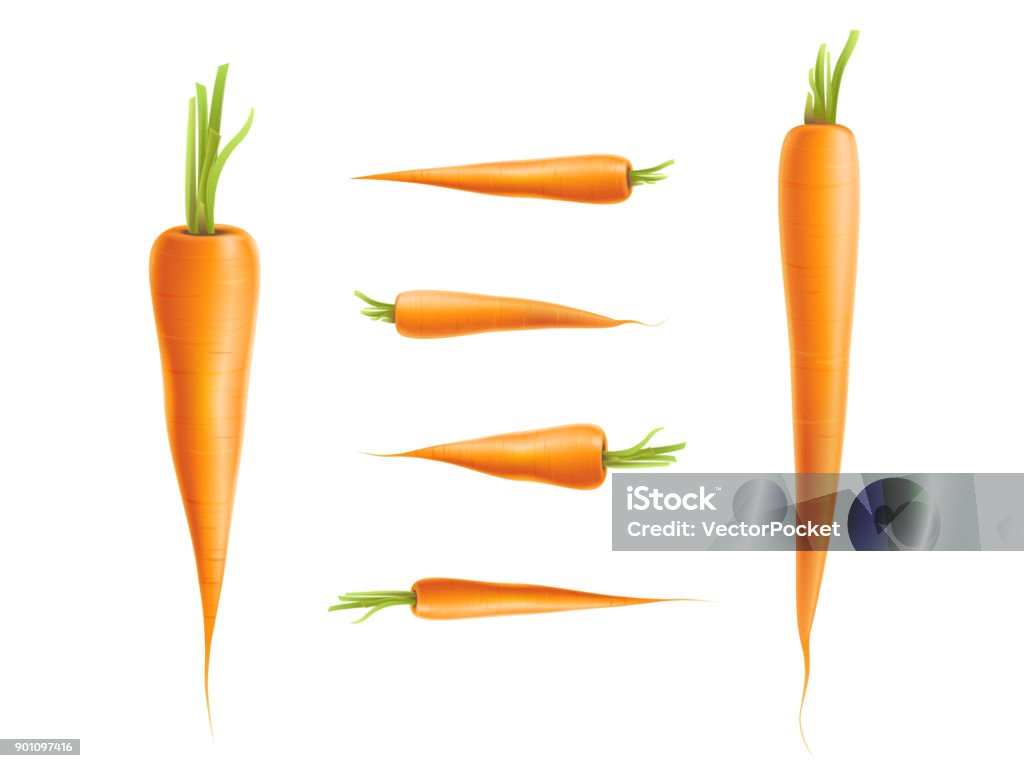 Vector photo-realistic carrot set isolated Vector photo-realistic carrot set. 3d vegetable, raw ripe organic and healthy food with cut stem, leaves. Fresh isolated illustration on a white background for advertising, poster design Carrot stock vector