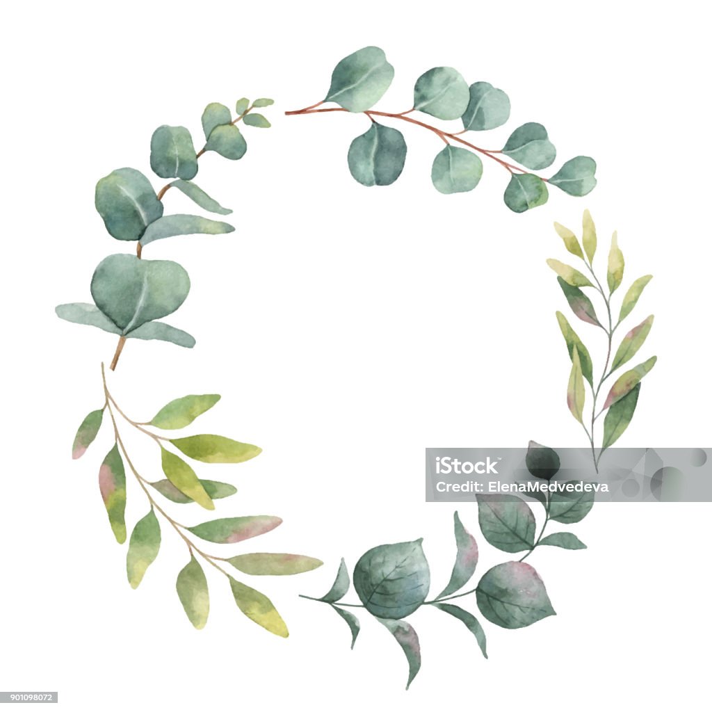 Watercolor vector wreath with green eucalyptus leaves and branches. Watercolor vector wreath with green eucalyptus leaves and branches. Spring or summer flowers for invitation, wedding or greeting cards. Watercolor Painting stock vector
