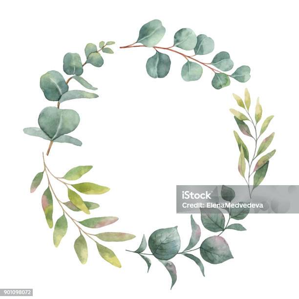 Watercolor Vector Wreath With Green Eucalyptus Leaves And Branches Stock Illustration - Download Image Now