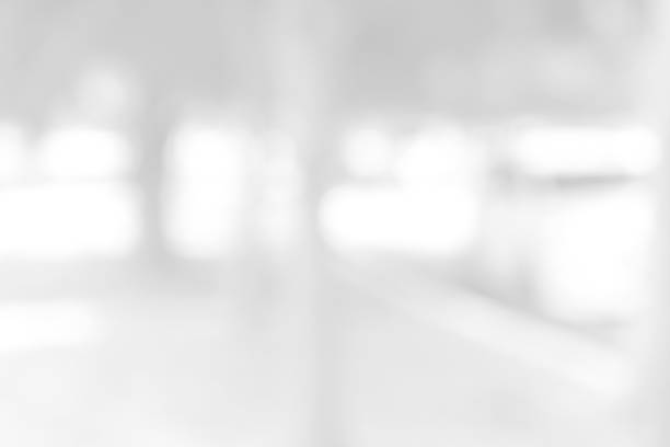 istock White blurred abstract background / grey abstract background. soft backdrop of nature abstract background. used for wallpaper or background. 901098164