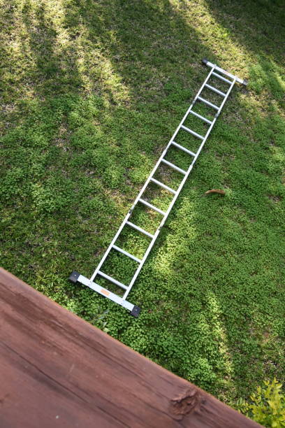 Ladder Fail Tree 490+ Climbing Ladder Treehouse Stock Photos, Pictures & Royalty-Free ...