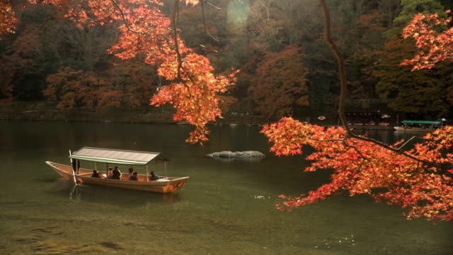 local boat in Katsura river amid autumn Leaf forest at Arashiyama