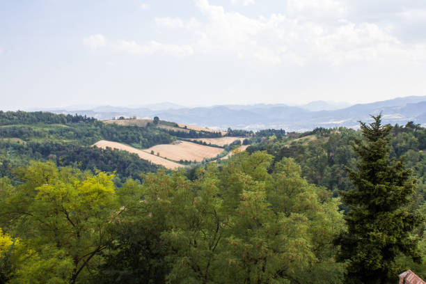 istock Panorama of Bologna 901105328