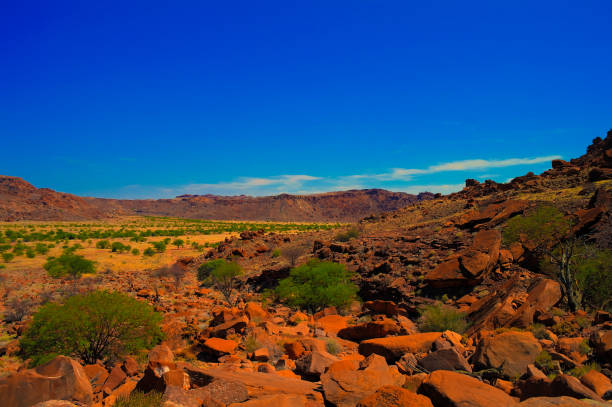 istock Twyfelfontein archaeological site in Namibia 901109906