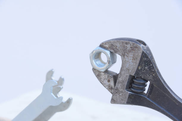 istock funny and original concept, wrench feeds his offspring 901124330