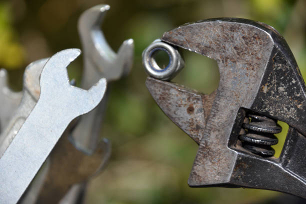 istock funny and original concept, wrench feeds his offspring 901125192