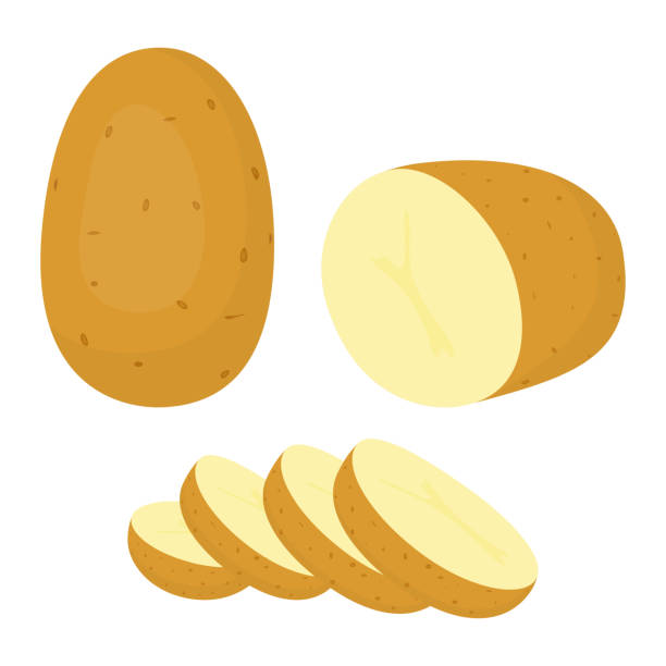 картофель изолирован на белом фоне - raw potato isolated vegetable white background stock illustrations
