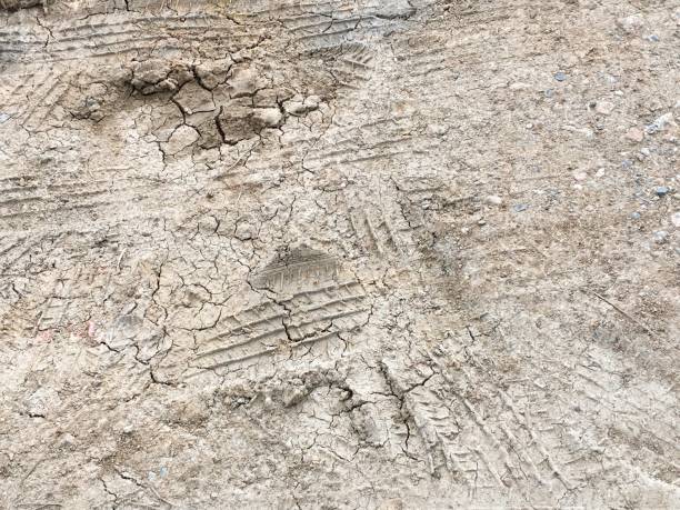 istock dry wheel track on dirt soil texture 901127046