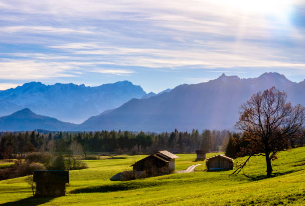 istock landscape murnauer moos - bavaria 901127420