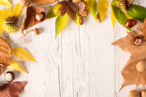 istock Autumn frame with color leaves on wooden 901134698