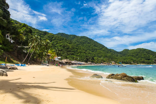 istock Las Animas Beach in Mexico 901145380
