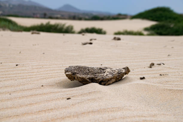 Viana desert, Boa Vista