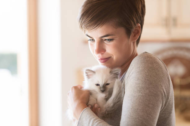 Woman hugging her kitten Young smiling woman hugging and cuddling her cute kitten, pets and lifestyle concept birman photos stock pictures, royalty-free photos & images