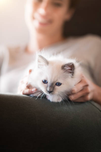 istock Woman cuddling her cat 901153794
