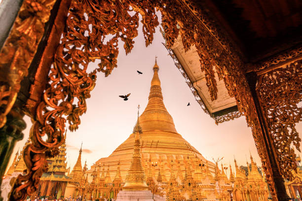 восход солнца в пагоде шведагон в янгоне - shwedagon pagoda фотографии стоковые фото и изображения