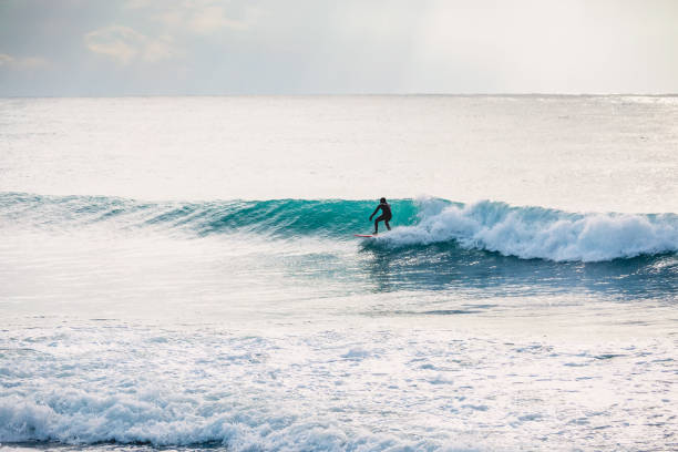 istock Surfer ride on barrel wave. Surfing in ocean 901169890