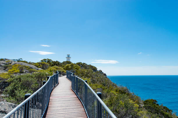 istock Lighthouse in Tasmania 901174160