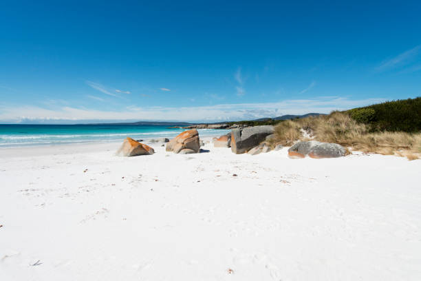 istock Bay of Fires, Tasmania, Australia 901174610