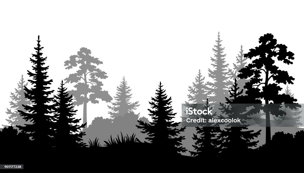 Nahtlose Hintergrund, Sommer Wald Silhouetten - Lizenzfrei Wald Vektorgrafik