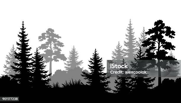 Nahtlose Hintergrund Sommer Wald Silhouetten Stock Vektor Art und mehr Bilder von Wald - Wald, Kiefer, Freisteller – Neutraler Hintergrund