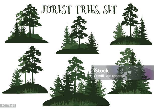 Landscapes With Trees Silhouettes Stock Illustration - Download Image Now - Forest, Pine Tree, In Silhouette