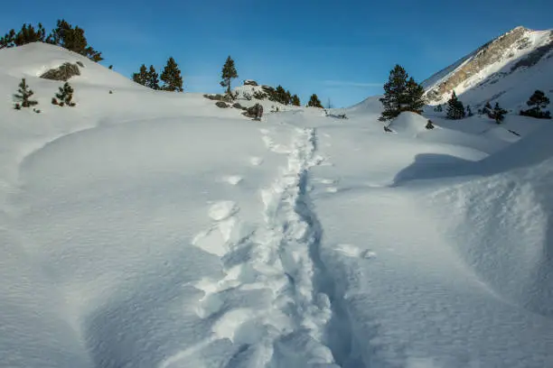 A picture of a lovely winter hiking day in the swiss alps