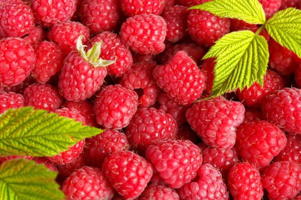 istock Fresh and sweet raspberries background 901186244