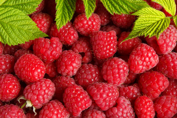 istock Fresh and sweet raspberries background 901186464