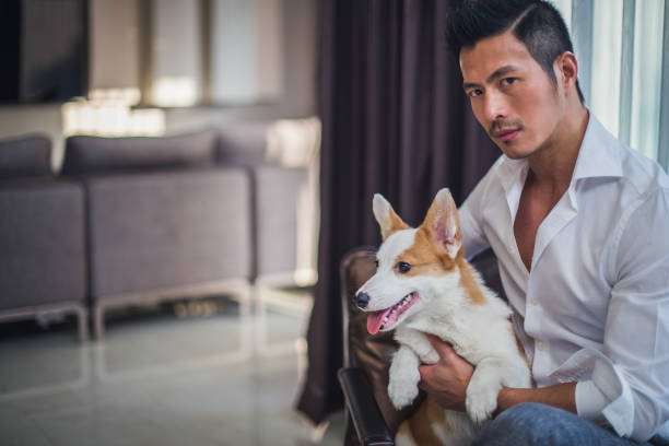 istock Man and his Corgi dog 901187342