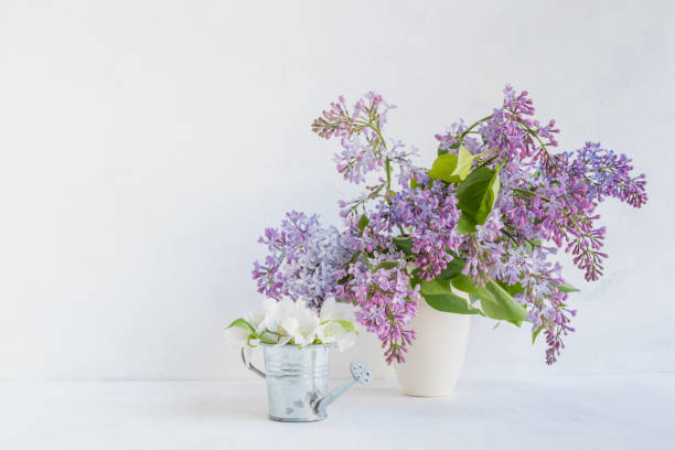 istock White flowers in a vase 901194838