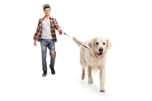 istock Teen hipster walking a dog 901199646