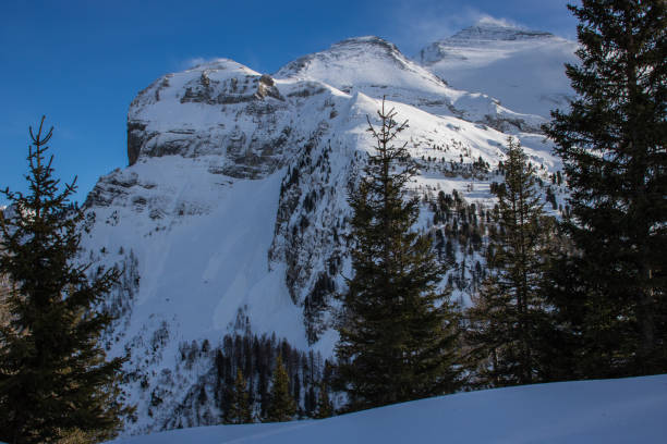 istock A picture of a winter hike day 901199678