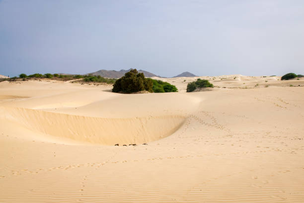 istock Viana Desert, Boa Vista, Cape Verde 901202740