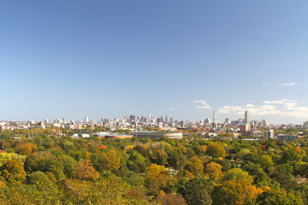 Boston Skyline on a sunny day