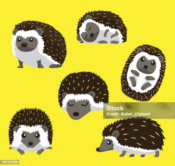Hedgehog Six Poses Cute Cartoon Vector Illustration Stock Illustration - Download Image Now