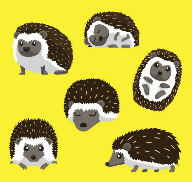 Vector illustration of Hedgehog Six Poses Cute Cartoon Vector Illustration